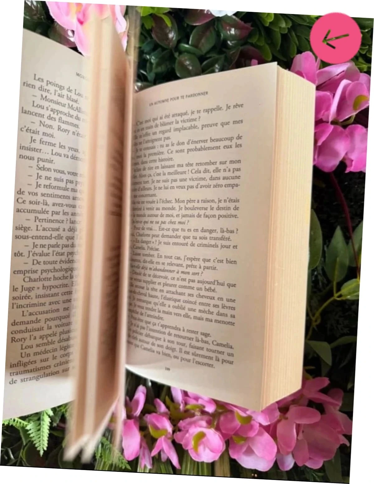 A Fall to Forgive You Morgane moncomble Book – photo 6